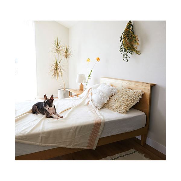 ボタニカルダイ なめらかコットン毛布 オレンジ K20801526