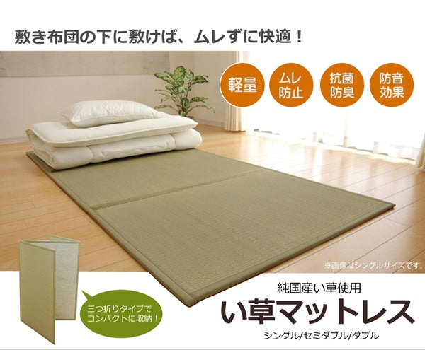 折りたたみ マットレスい草マットレス シングル100×210cm【代引不可】