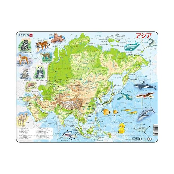 世界地図パズル セット