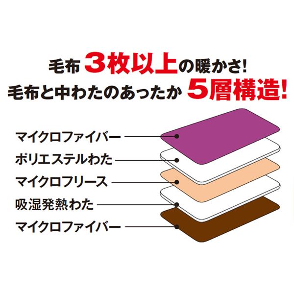 毛布/寝具 2色組 【ダブル ワイン ブルー】 洗える 吸湿発熱 ポリエステル 『ボリュームたっぷり5層構造』 〔ベッドルーム 寝室〕